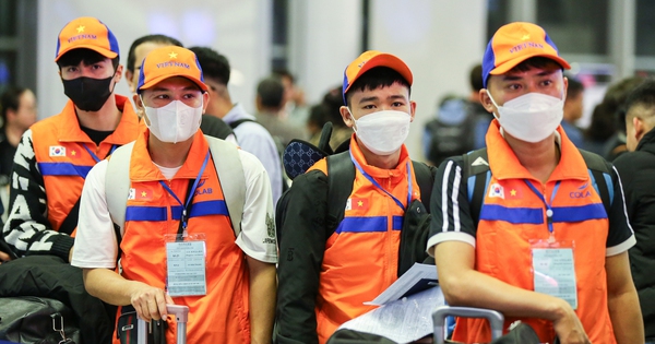 Vietnam Expands Opportunities for Unskilled Workers in South Korea's Core Industries