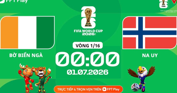 Nhận định bóng đá Bờ Biển Ngà vs Na Uy: Haaland giúp 'The Vikings' thắng sát nút