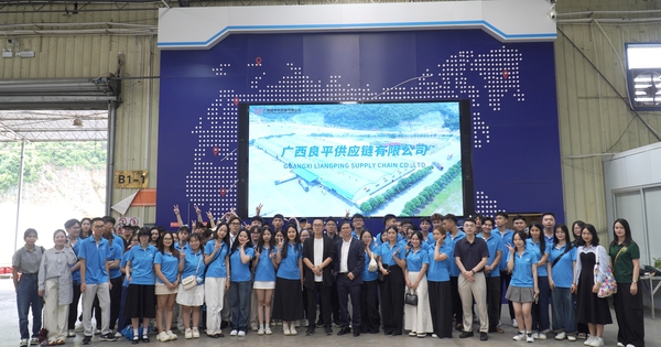Mức lương ngành logistics cho sinh viên mới ra trường là bao nhiêu?