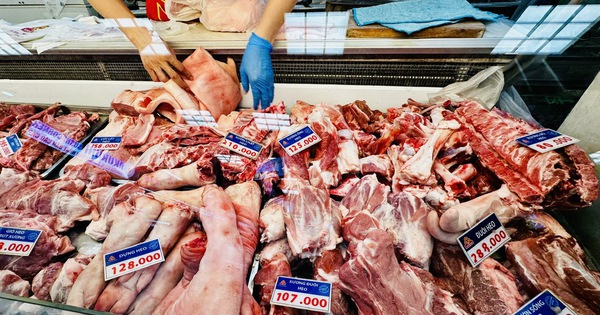 Giá heo hơi hôm nay 4.6.2026: Giảm nhẹ, chăn nuôi nhỏ lẻ khó khăn