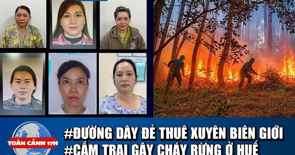 Toàn cảnh 17h: Vén màn bà trùm đường dây đẻ thuê xuyên biên giới | Nhóm cắm trại gây cháy rừng ở Huế