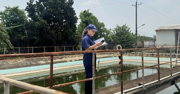 Người phụ nữ thầm lặng giữ màu xanh cho nhà máy cao su