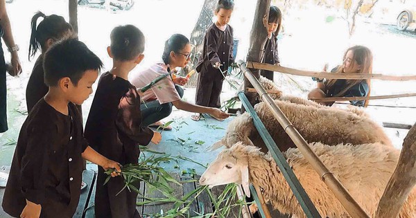 Những nông trại giữa lòng TP.HCM khiến người trẻ say đắm