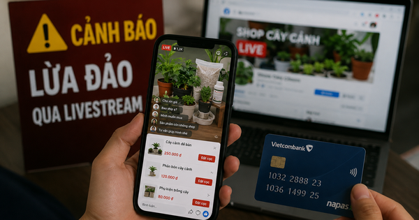 Cà Mau Police Seek Victims of Livestream Deposit Scam for Plants and Fish Supplies