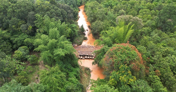 Vietnam's Ma Da temporary bridge reopens after swift repairs