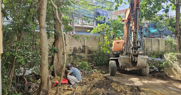 Phát hiện hàng chục bộ hài cốt quanh một gốc cây ở Ninh Bình