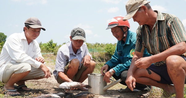 Cá chết hàng loạt: Người dân chưa chấp nhận mức hỗ trợ từ đơ