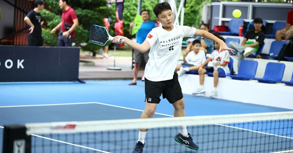 Giải Pickleball Open Cup - Future Stars 2026: Sân 
