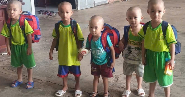 Người gieo mầm xanh trên đất biển