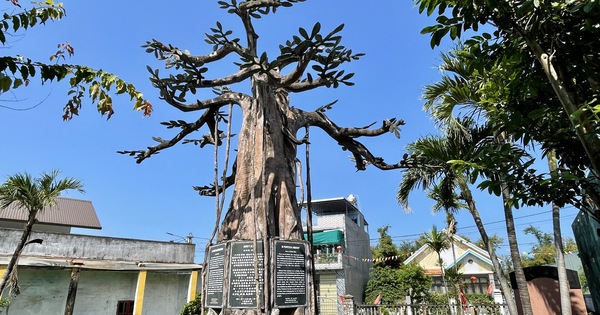 Gia Lai chi 23,9 tỉ đồng tu bổ nơi phôi thai chữ Q