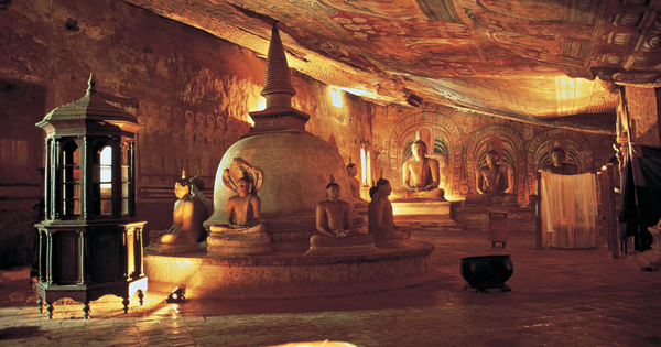 Đến Sri Lanka chiêm bái xá lợi răng Phật, ngắm cây