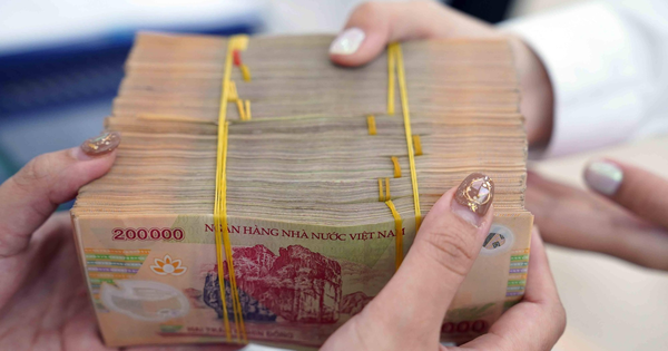 Cổ đông Novaland, Vinhomes sắp được chia cổ tức