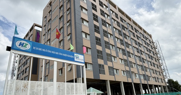 Chuyên gia hiến kế làm nhà cho thuê