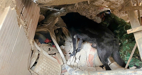 Vietnamese rescue teams find 13 earthquake victims in Venezuela