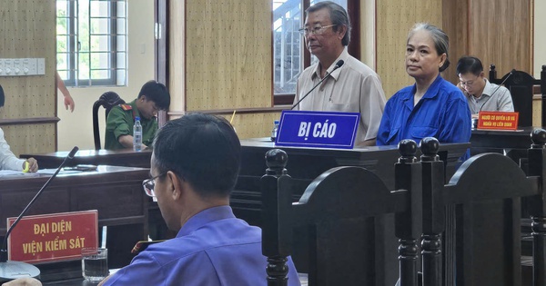 Ho Chi Minh City: Former provincial official and husband jailed for fraud
