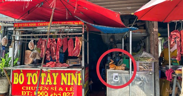 Phố thịt chó một thời ở TP.HCM thưa vắng, vì sao vẫn còn người bán cầy tơ?