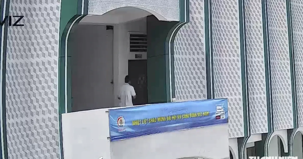 Ca Mau company's suspension of leader lacked proper legal procedure, authorities find
