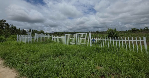 Authorities investigate 'An Yen Village' land promotion in Vietnam's Dak Lak