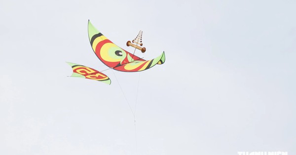 8-year-old boy dies from electrocution while retrieving kite from rooftop
