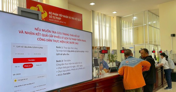 Ho Chi Minh City: Ring of 'Fake' Criminal Record Certificates Busted, 16 Indicted