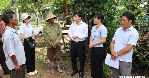 Vietnamese commune launches campaign to issue land certificates directly to residents