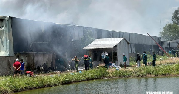 Major Fire at Vietnamese Garment Factory, Over 200 Workers Evacuated Safely