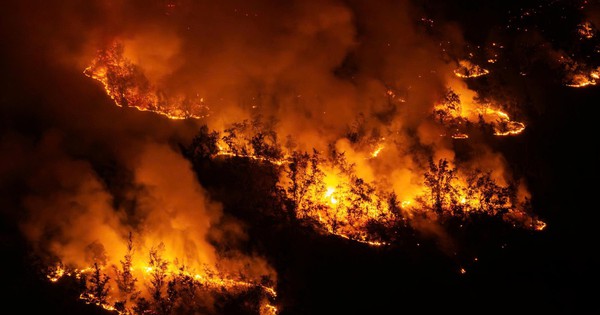 Over 500 people, 14 fire trucks fight coastal protective forest fire in Gia Lai