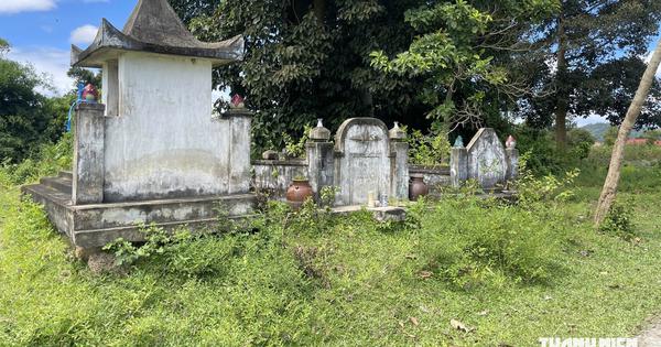 Rừng mộ ché bên hồ Lắk: Vì sao chiếc ché theo người M'nông về thế giới bên kia?