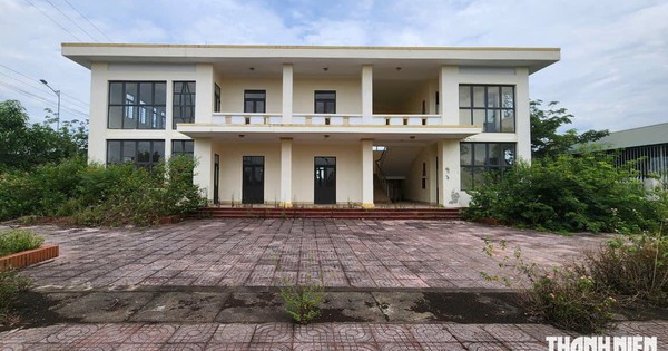 Ha Tinh Allocates 7 Billion Dong to Open Abandoned Animal Quarantine Station