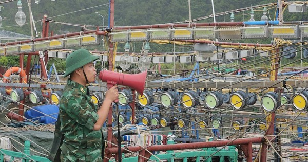 Hai Phong Orders Urgent Typhoon Maysak Preparations, Bach Long Vi Noted