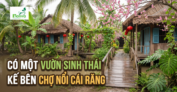 Cùng sống xanh số 159: Vườn sinh thái trọn vẹn trong không gian văn hóa bản địa