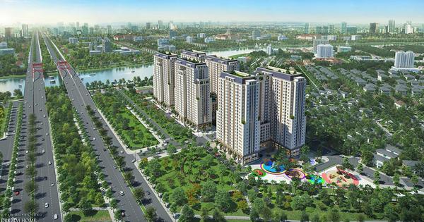 Một dự án chung cư ở TP.HCM ngừng thi công: Sở Xây dựng thông tin