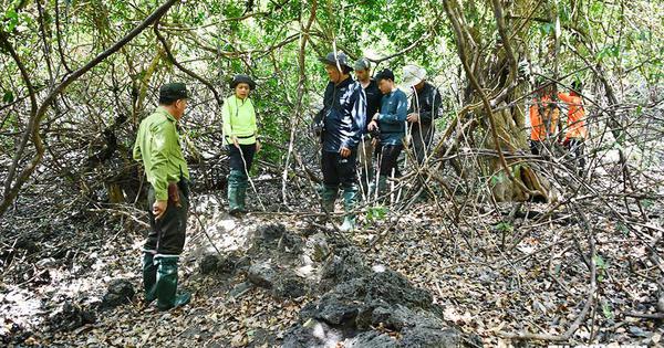 Vietnam's 'Katien' initiative turns local women into forest guardians