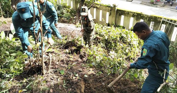 Additional Soldier Remains Found Wrapped in Multiple Layers in Quang Ngai
