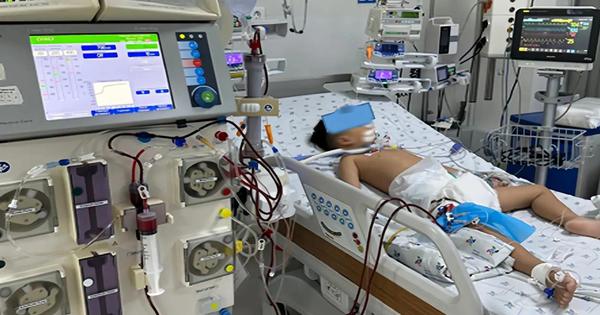 Uống paracetamol quá liều, bé trai 5 tuổi suy gan nguy kịch