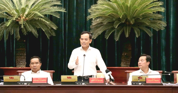 Ho Chi Minh City submits special urban law draft in August