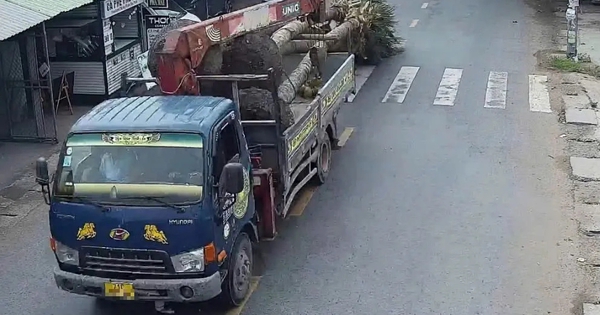Driver transporting oversized cargo caught on camera in Dong Thap, Vietnam