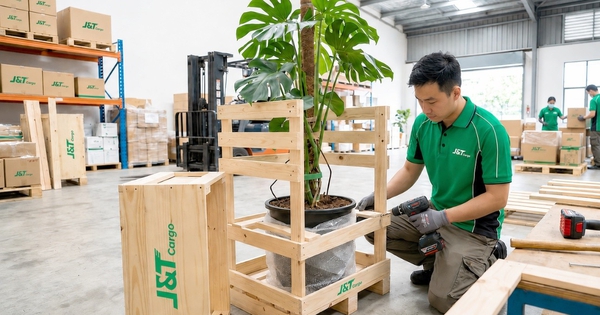 Khai phá ‘mỏ vàng’ logistics hàng nặng tại thủ phủ kinh tế miền Nam