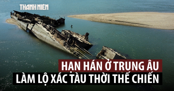 Xương voi ma mút, đạn pháo, chiến hạm: tàn tích bất ngờ trên đáy sông cạn nước