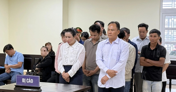 Sản xuất, buôn bán hơn 1.750 tấn phân bón giả, 2 tổng giám đốc lĩnh án