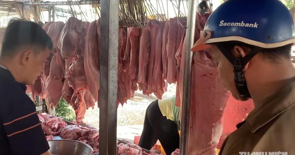 Giá heo hơi hôm nay 10.8.2026: Miền Bắc và miền Trung tiếp tục giảm