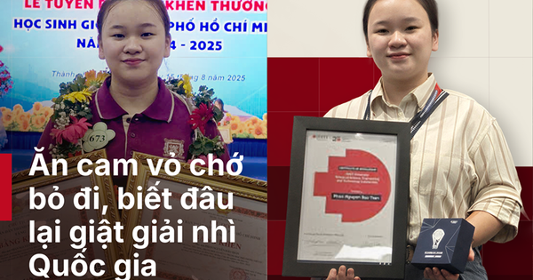 Từ giải nhì quốc gia đến học bổng RMIT của cựu VASer