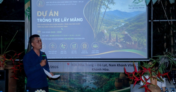 Khánh Hòa: Đưa cây tre vào vùng đất khó, mở hướng sinh kế cho đồng bào Raglai