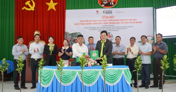 Xây dựng thương hiệu ‘Mít ruột đỏ Cái Ngang’