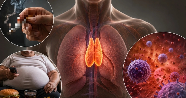 Nghiên cứu: Mối liên hệ của tuyến ức với tuổi thọ, ung thư và bệnh tim mạch