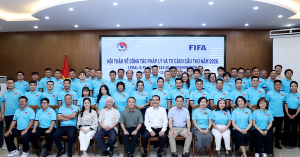 VFF tổ chức Hội thảo pháp lý, CLB Việt Nam cập nhật quy định mới từ FIFA