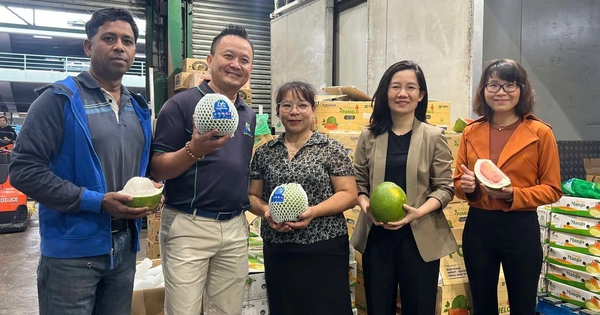 Cú hích cho thương mại Việt Nam - Úc