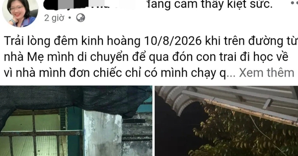Thai phụ 'tố' tài xế ô tô rời hiện trường sau va chạm giao thông