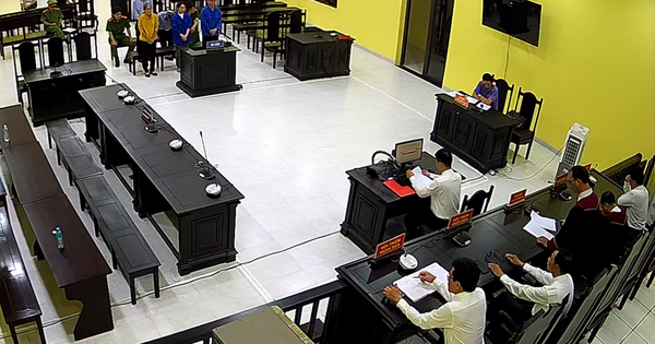 Vụ Công ty AIC ở Cà Mau: Nguyễn Thị Thanh Nhàn lãnh 10 năm tù