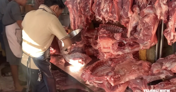 Giá heo hơi hôm nay 12.8.2026: Lùi sâu dưới mốc 60.000 đồng/kg